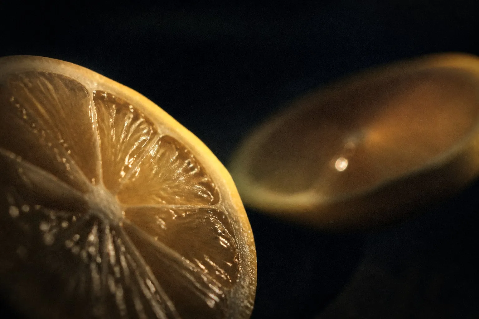 Editorial illustration: lemon slices macro dark background