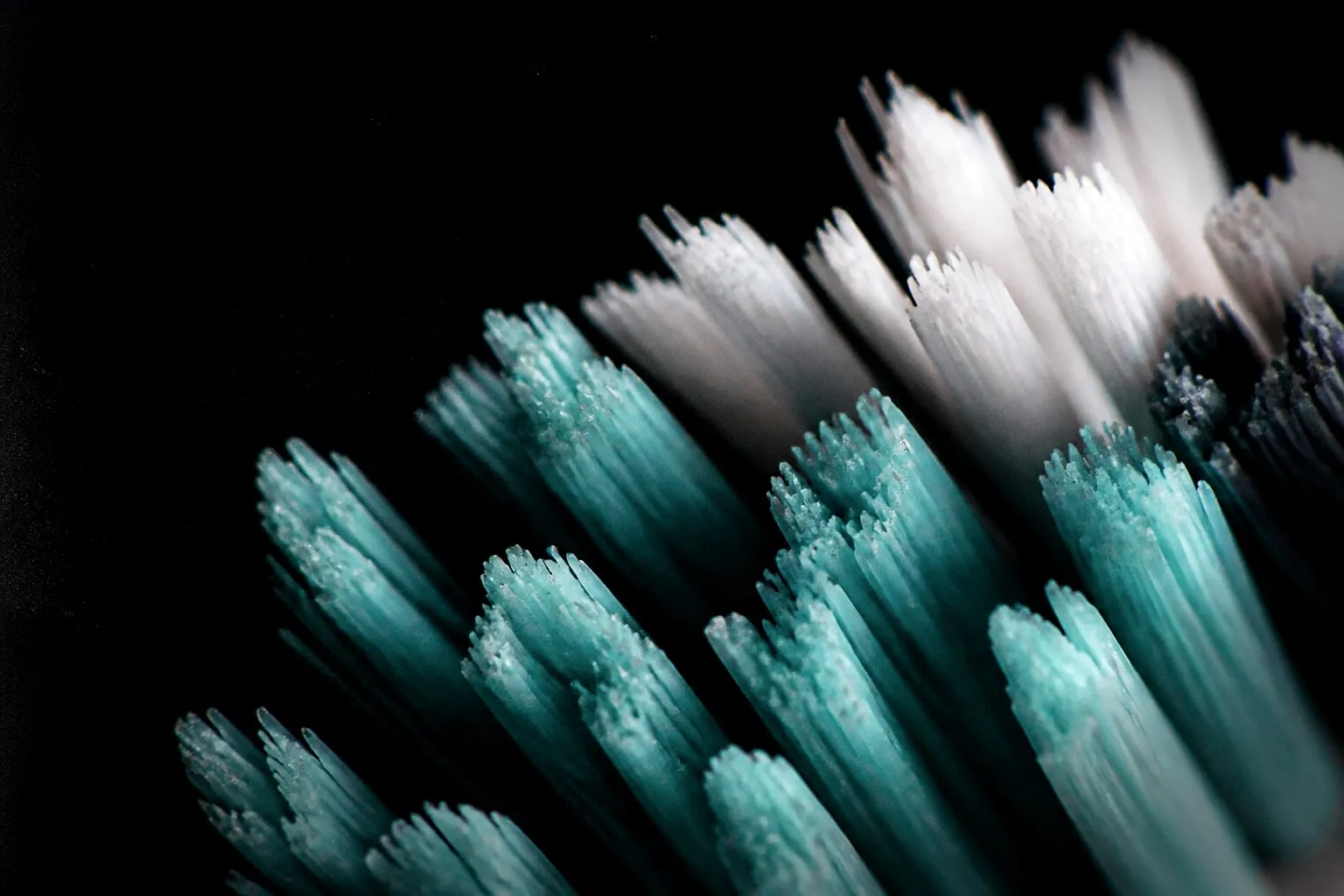 Editorial illustration: toothbrush bristles macro extreme close up