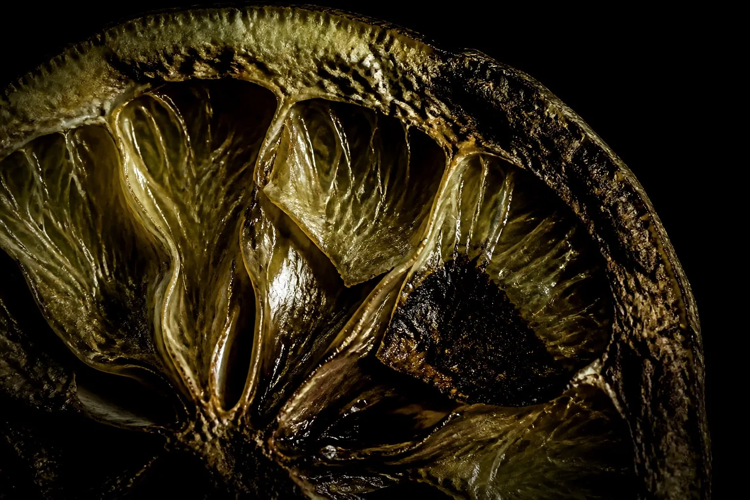 Editorial illustration: lemon slice macro dark background
