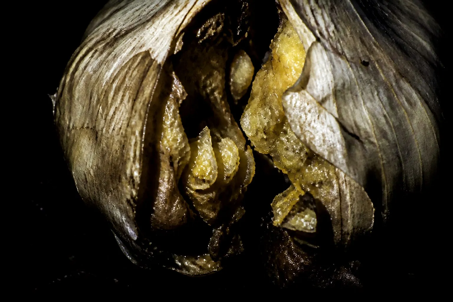 Editorial illustration: Split garlic clove under harsh macro light, its papery skin cracked to reveal glossy sulfur crys