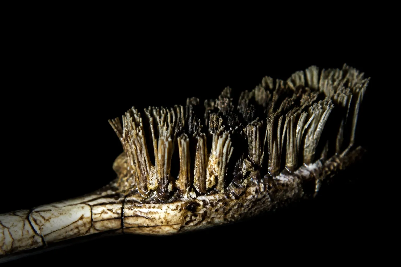 Editorial illustration: A cracked vintage toothbrush with petrified plaque encrusting its bristles, lit like an artifact
