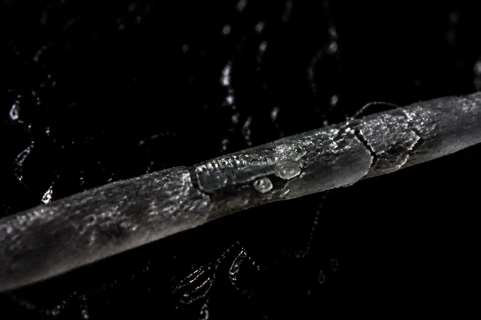 Editorial illustration: dental floss thread macro extreme close up